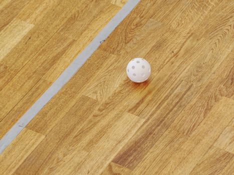 Floor-ball  playground, equipment with painted floor, floorball court detail