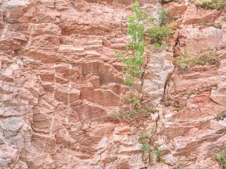 Ancient multi-layered lime and feric lines in wall surface of mine rocks