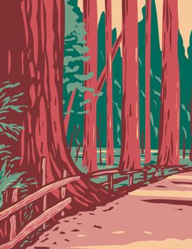 WPA Poster Art of redwoods in the Avenue of the Giants surrounded by the Humboldt Redwoods State Park located in Arcata California done in works project administration style.