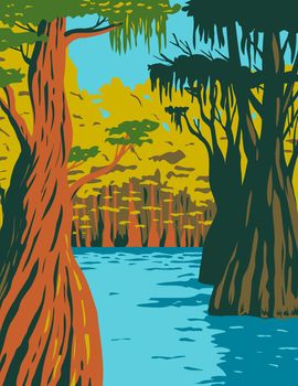 WPA poster art of bald cypress growing in the swamp of Owl Creek in Apalachicola National Forest located in the Florida Panhandle in works project administration style or federal art project style.