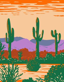 WPA Poster Art of saguaro cactus in Sonoran Desert National Monument located south of Buckeye and east of Gila Bend Arizona done in works project administration style or federal art project style.