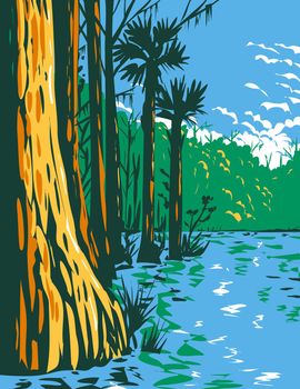 WPA Poster Art of the subtropical wetlands in Everglades National Park in the state of Florida done in works project administration style  or federal art project style.