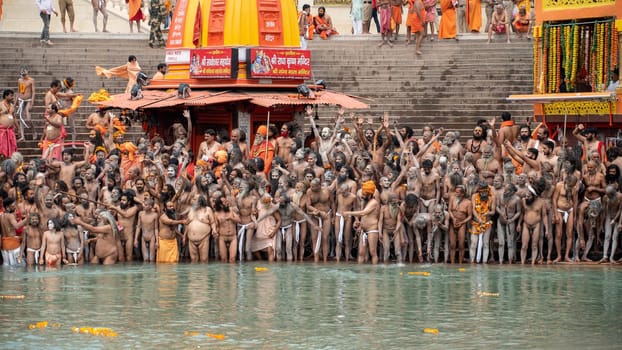 Haridwar, Uttarakhand India April 06, 2021. A Dip of Spirituality and faith, Maha Kumbh 2021. Morning Time dip, Indian saints batting in Ganges of Ganga River and Worshipping their God. High-quality