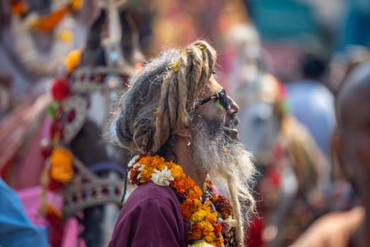 Haridwar, Uttarakhand. India- March 5, 2021- Indian sadhus coming to Kumbh Mela, Royal welcome. Sadhus sitting in rides, wearing a garland