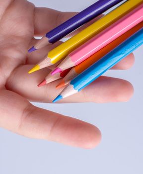 Hand holding color Pencils placed on a white background