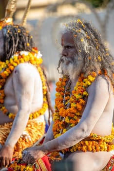 Haridwar, Uttarakhand. India- March 5, 2021- Indian sadhus coming to Kumbh Mela, Royal welcome. Sadhus sitting in rides, wearing a garland,