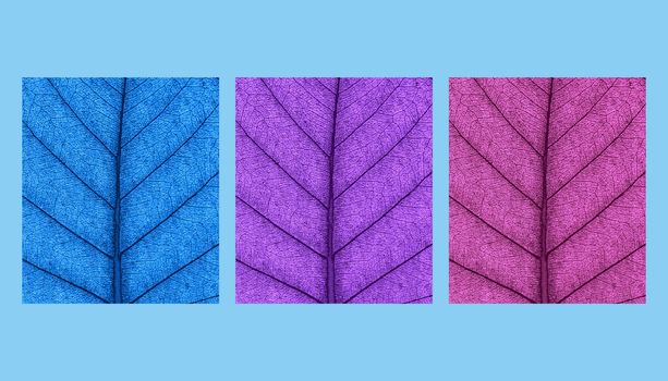 Leaf natural background concept abstract colored 3d rendering abstract design