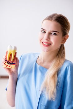 Young doctor nurse with tooth model