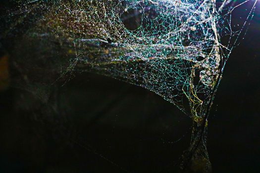 image of blurred abstract and art with bokeh of cobweb, dew drop and rain on web and dark background
