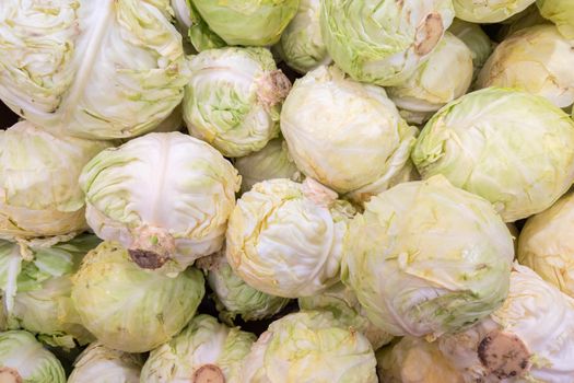 full frame cabbage in a grocery store, background and texture