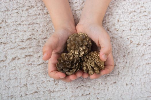 Little boy is holding pine cones in hand on white background