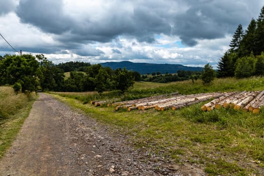 Long mountain trail in Walbrzych Mountains at cloudy day