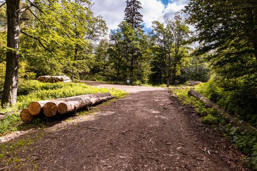 Long mountain trail in forest in Walbrzych Mountains at cloudy day