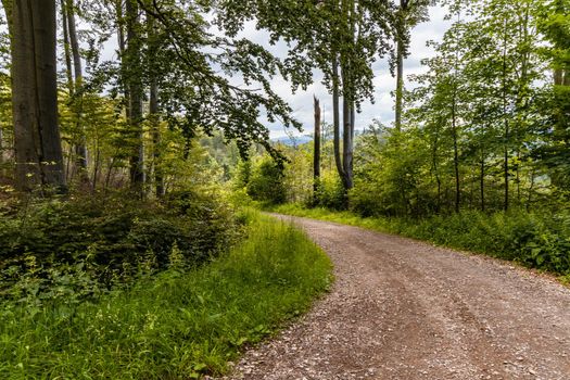 Long mountain trail in forest in Walbrzych Mountains at cloudy day