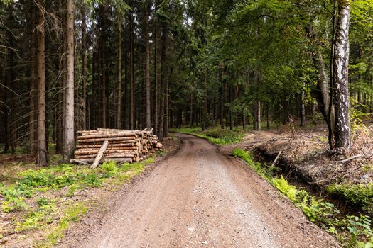 Long mountain trail in forest in Walbrzych Mountains at cloudy day