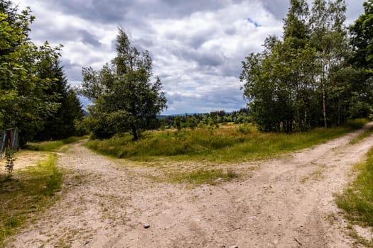 Long mountain trail in Walbrzych Mountains at cloudy day