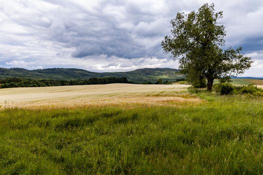 Big hills and fields next to mountain trail in Walbrzych mountains