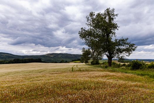 Big hills and fields next to mountain trail in Walbrzych mountains