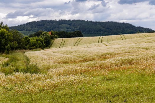 Big hills and fields next to mountain trail in Walbrzych mountains