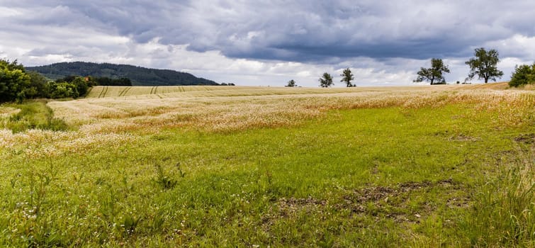 Big hills and fields next to mountain trail in Walbrzych mountains