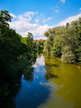 Small part of river between bushes and trees at sunny day