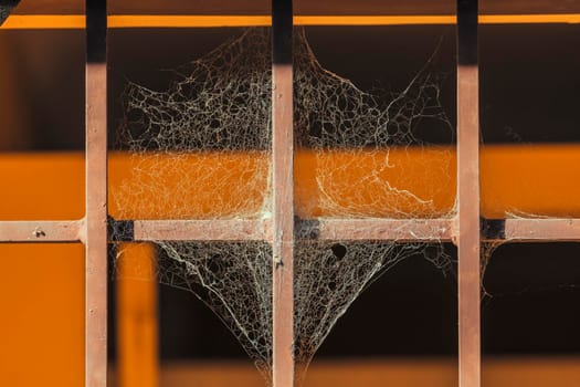 Photograph of a large spider web in the sunshine on a steel gate with orange background