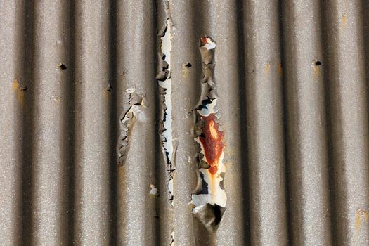 Photograph of brown paint peeling off a corrugated iron roof due to exposure to the environment