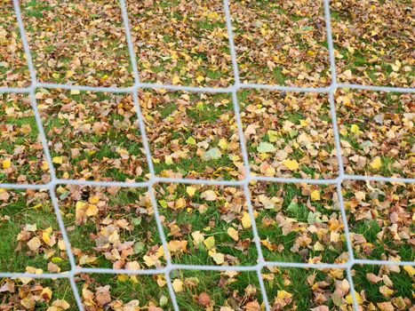 Soccer net and field on bright green artificial turf covered with autumna fallen leaves