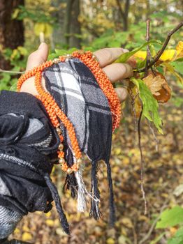 Hand with pink bracelet and blue scarf is touching to autumnal leaves in beech forest.