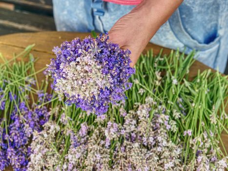 Many Purple levander flower on old wooden table. Beautiful lavender flower from my flower garden