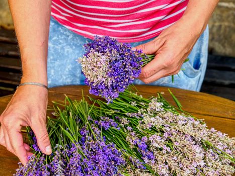 Lavender flowers, hands and preparing of nice smells bouquets on vintage yellow working table. French garden.