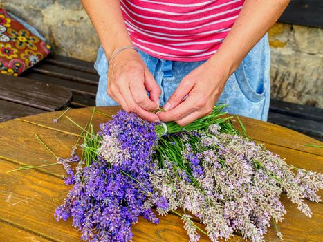 Girl hands with scissors and string preparing lavender flowers bunches on wooden table. 