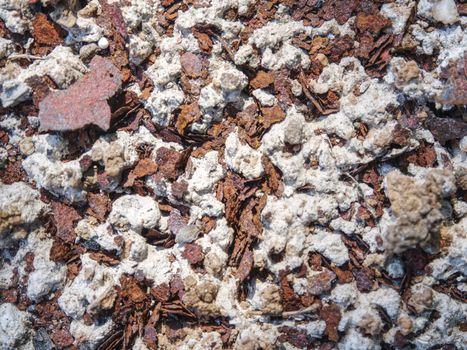 Ground with ash, coals and rusty iron plates on ground of burnt house.