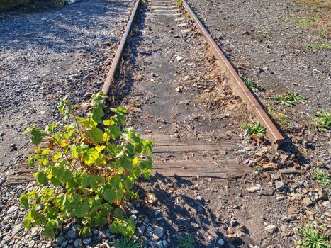 Old rusty rails in abandoned railway station. Rusty train railway detail, granite stones between rails