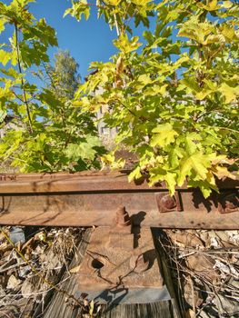 Detail of rusty screws and nut on old railroad track. Wooden oiled tie with rusty nuts and bolts. Damaged surface of rail rod. 