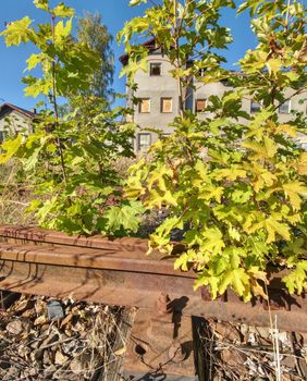 Close view of railroad track old fashioned rusty clamps and screws wooden railroad.