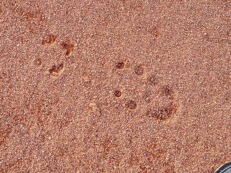 Footprint of soccer shoe in tennis court surface. Deep marks in detail with a sport shoe footprint on a tennis clay court.  