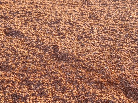 Empty clay tennis court during game time-out. Foot sole marks against to sun. 