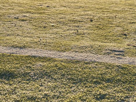 Line of empty green soccer field in the stadium. The artificial turf for hockey