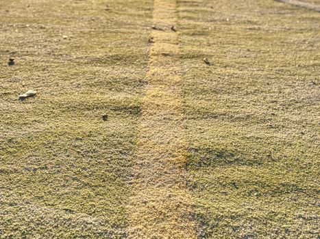 Border line in handball playing field.  The outdoor handball playground plastic light green surface on ground.