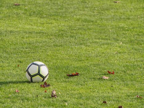 White lines on football playground. Detail of a of white lines in a soccer field.