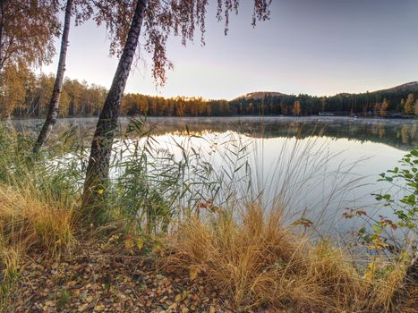 Fall evening on the lake. Beautiful forest lake with dry golden stalk of grass and reeds.