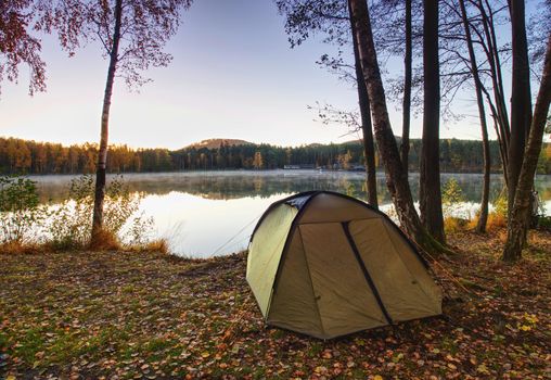 Camping at lake. Fisherman green tent at lake shore under aspen trees. 