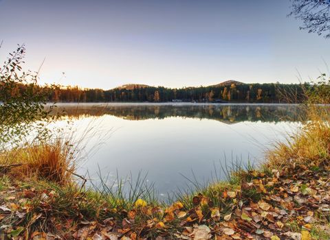 Mirroring of treetops in lake water level. Gentle mist above water in orange shadows from daybreak sun.