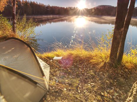 Camping at lake. Fisherman green tent at lake shore under aspen trees. 