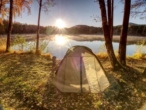 Tourist tent. Camping bellow trees at the river bank. Summer sunny morning at lake.