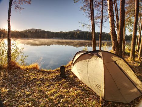 Camping at lake. Fisherman green tent at lake shore under aspen trees. 