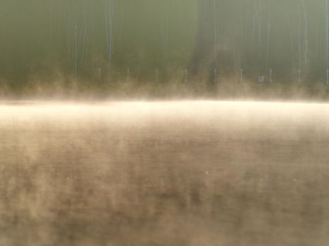 Mirroring of treetops in lake water level. Gentle mist above water in orange shadows from daybreak sun.