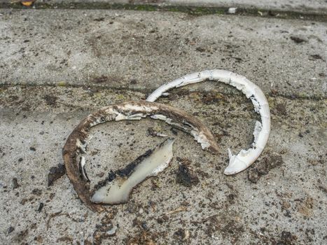 Waist keratin after hooves modulation. The blacksmith hoof trimming is necessary procedure for right horse step.