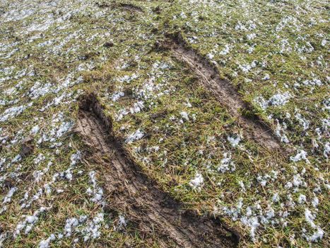 Horse hoofprints on wet muddy slippery ground.  Horse slipped while run in mud.